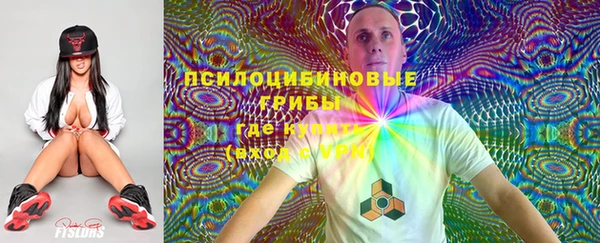 дмт Корсаков