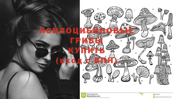 дмт Корсаков