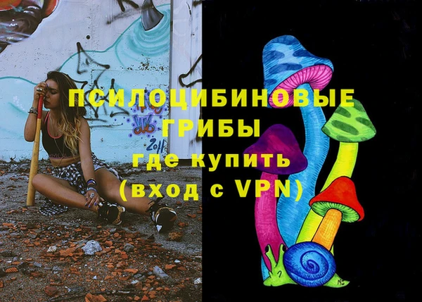 дмт Корсаков