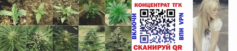 площадка состав  Клинцы  ТГК вейп с тгк  купить наркоту 