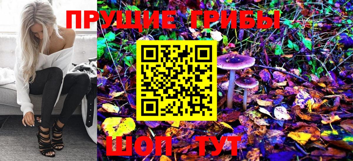 Галлюциногенные грибы Psilocybe  Вход с VPN  наркотики  Клинцы 